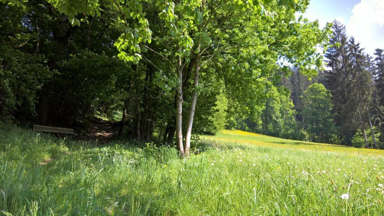 Holiday Home Zillertal - Haus Gigl Bruck am Ziller Zewnętrze zdjęcie